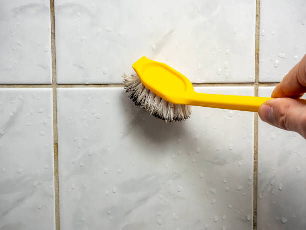 Best Mold Cleaning Services  in Grove, OK