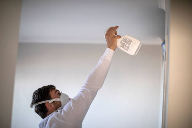 Best Fast Mold Removal  in Grove, OK