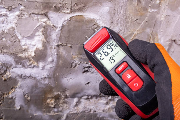 Best Best Mold Removal Companies  in Grove, OK
