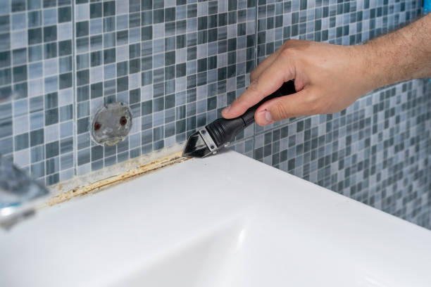 Office Mold Removal Services in Grove, OK