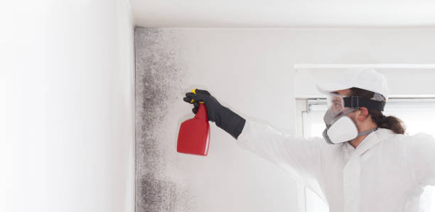 Best Mold Testing  in Grove, OK